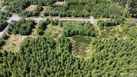 Photo of 9999 King Johns Way Lot 4 Crow, Forks, WA 98331 (MLS # 2444828)