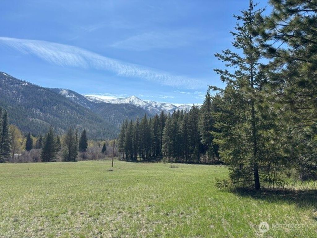 Photo of 0 Twisp River Road, Twisp, WA 98856 (MLS # 2510037)