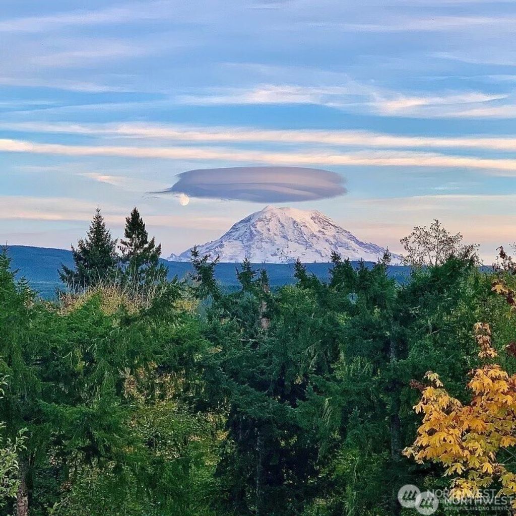 Photo of 16619 249th Street E, Orting, WA 98360 (MLS # 2473532)