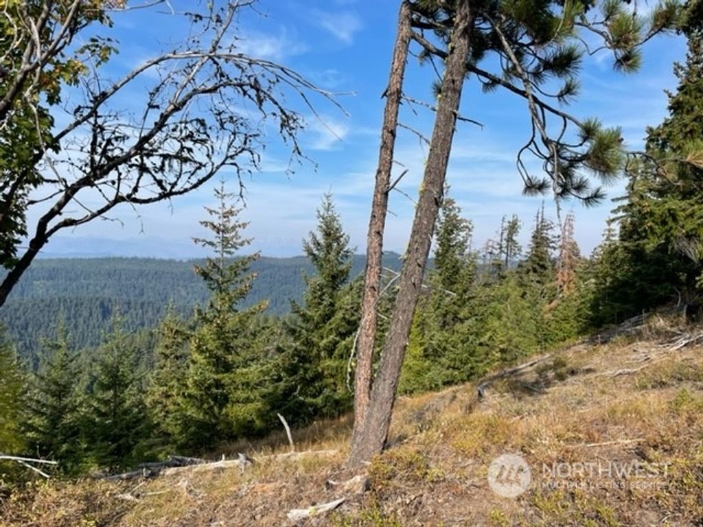 Photo of 7918 207th Street SE, Snohomish, WA 98296 (MLS # 2039626)