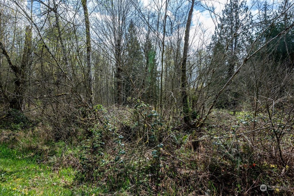 Photo of 305 XX NE Big Rock Road, Duvall, WA 98019 (MLS # 2219158)