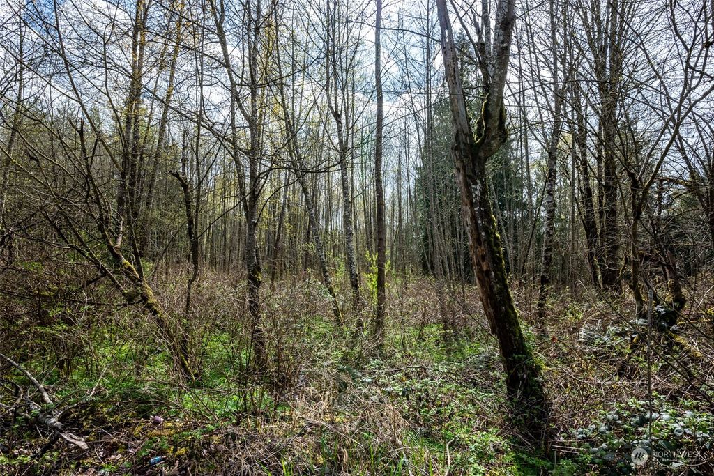 Photo of 305 XX NE Big Rock Road, Duvall, WA 98019 (MLS # 2219158)