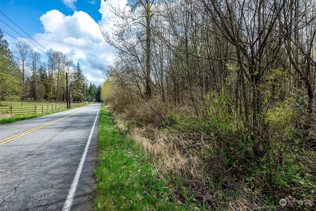 Photo of 305 XX NE Big Rock Road, Duvall, WA 98019 (MLS # 2219158)