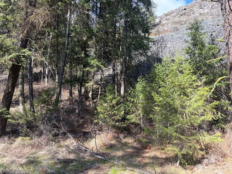111 West Curlew Lake Road