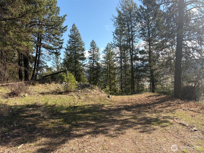 111 West Curlew Lake Road
