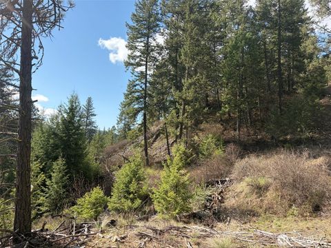 Photo of 111 TBD West Curlew Lake Road, Republic, WA 99166 (MLS # 2508692)