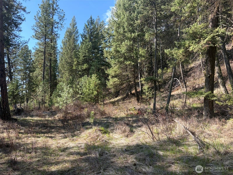 111 West Curlew Lake Road