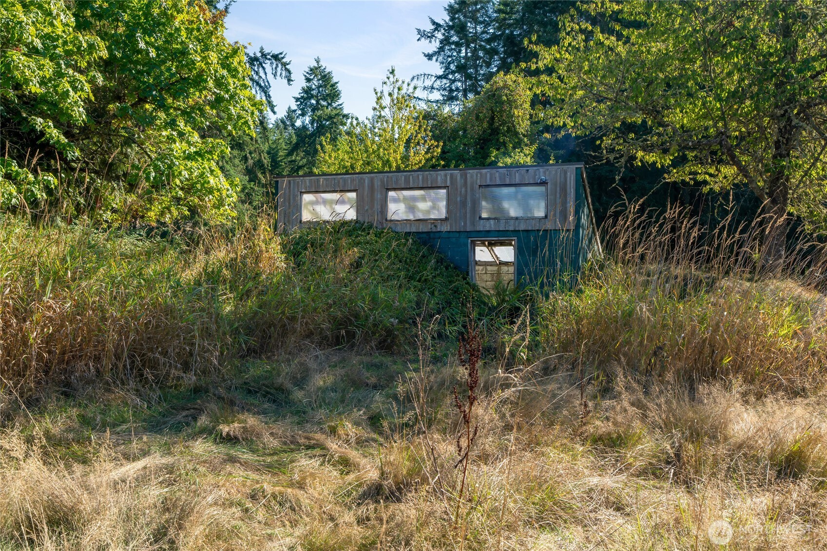 36716 Eatonville Cutoff Road E