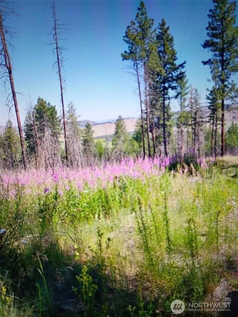 Photo of 111 TBD J H Green RD, Tonasket, WA 98855 (MLS # 2502936)