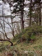 3 Fauntleroy Point Dr