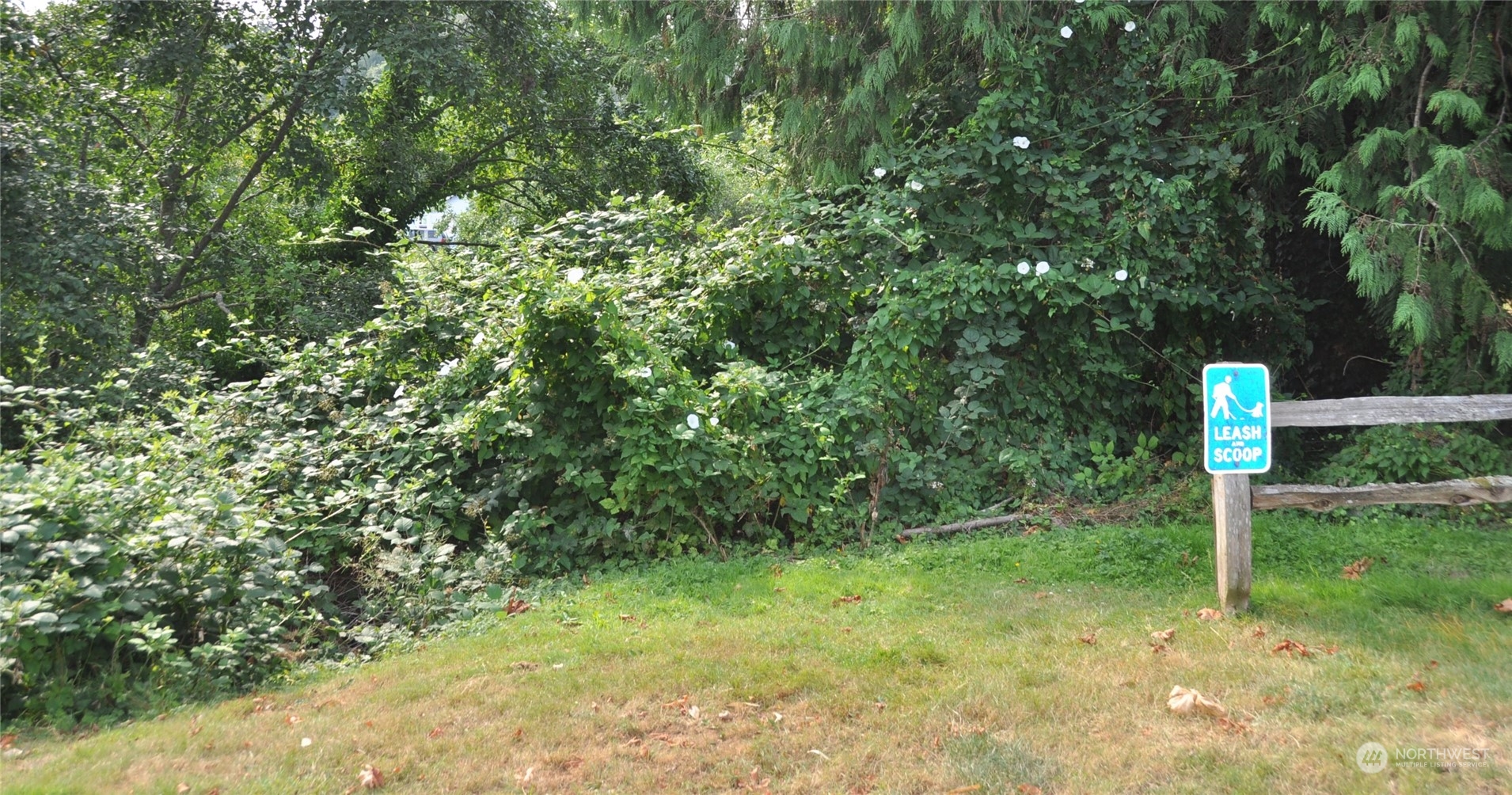 807 3rd Street