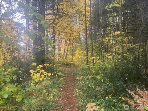 0 Morris Road Randle WA 98377