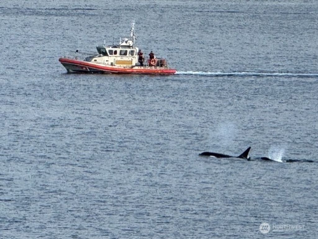 Photo of 1374 Alki Avenue SW #400, Seattle, WA 98116 (MLS # 2499437)