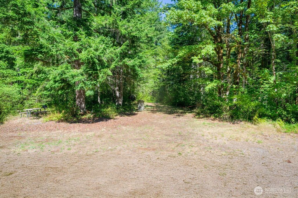 Photo of 0 NE 130th, Skykomish, WA 98288 (MLS # 2424198)