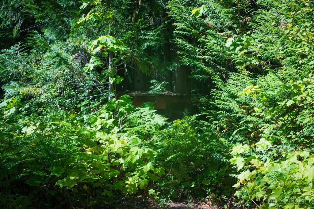 Photo of 0 NE 130th, Skykomish, WA 98288 (MLS # 2424198)