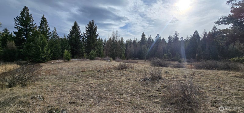 99 Prior Loop Road