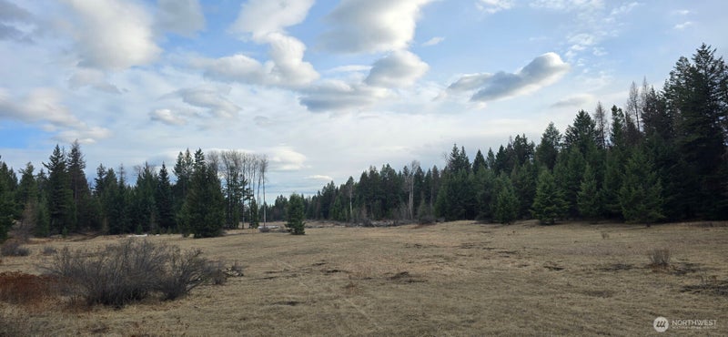 99 Prior Loop Road