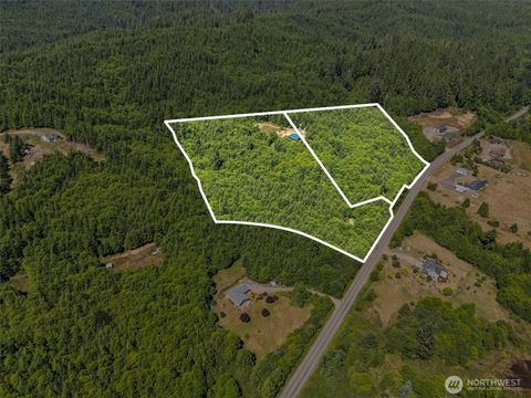Photo of 341 Parpala Road, Naselle, WA 98638 (MLS # 2384381)