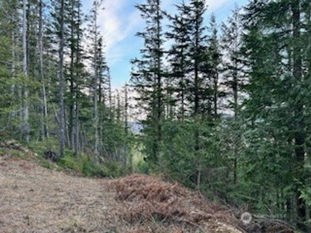 Photo of 0 Vacant Land 343rd Avenue SE, Ravensdale, WA 98051 (MLS # 2480032)