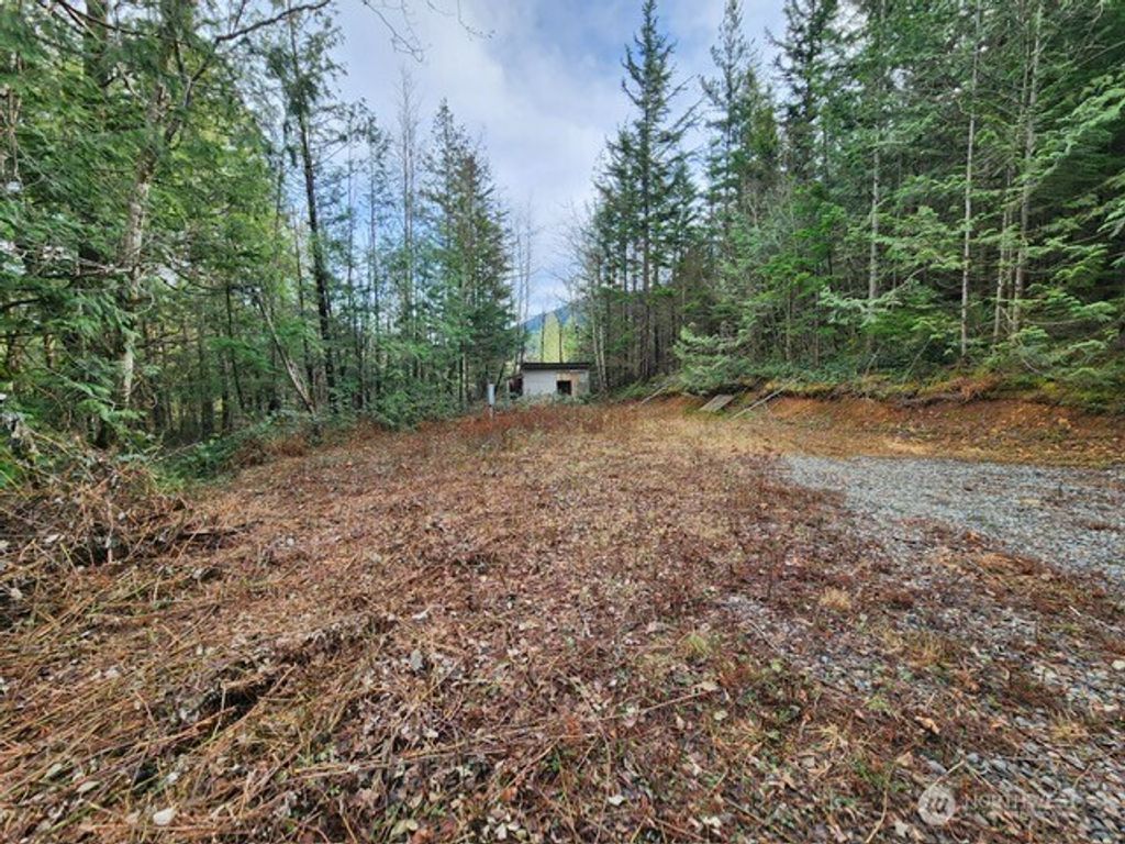 Photo of 0 Vacant Land 343rd Avenue SE, Ravensdale, WA 98051 (MLS # 2480032)