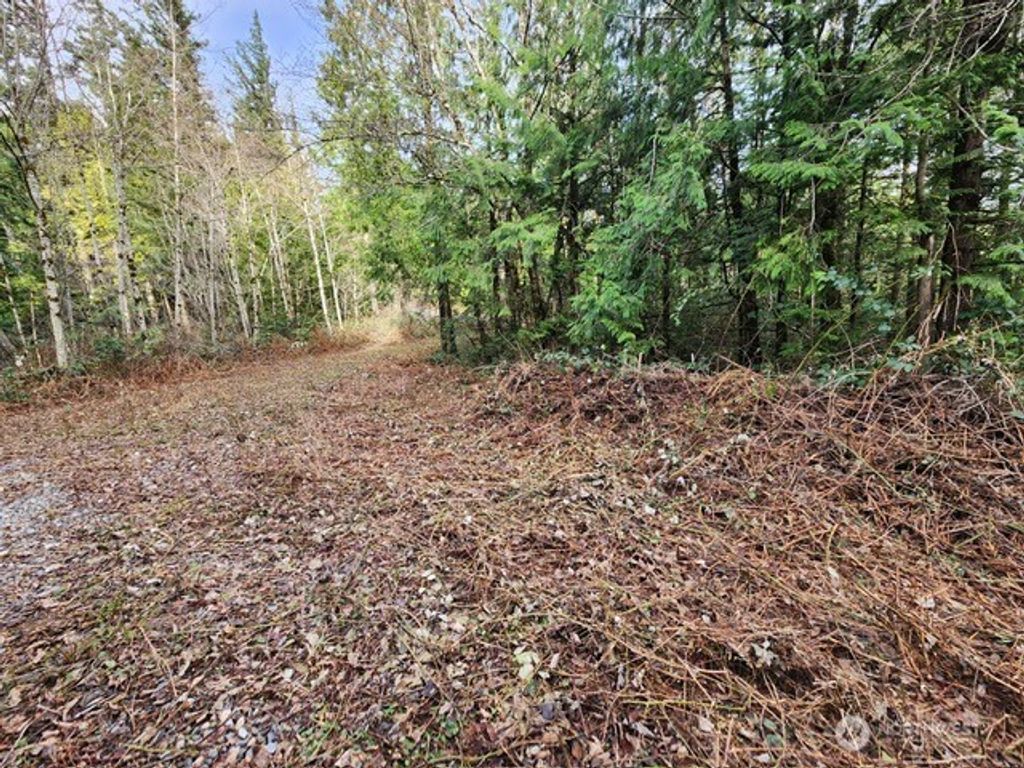 Photo of 0 Vacant Land 343rd Avenue SE, Ravensdale, WA 98051 (MLS # 2480032)
