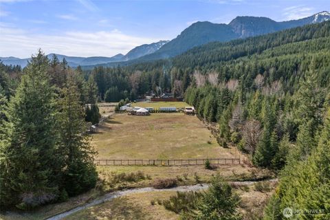 Photo of 216 Eagle Peak Drive, Packwood, WA 98361 (MLS # 2506358)