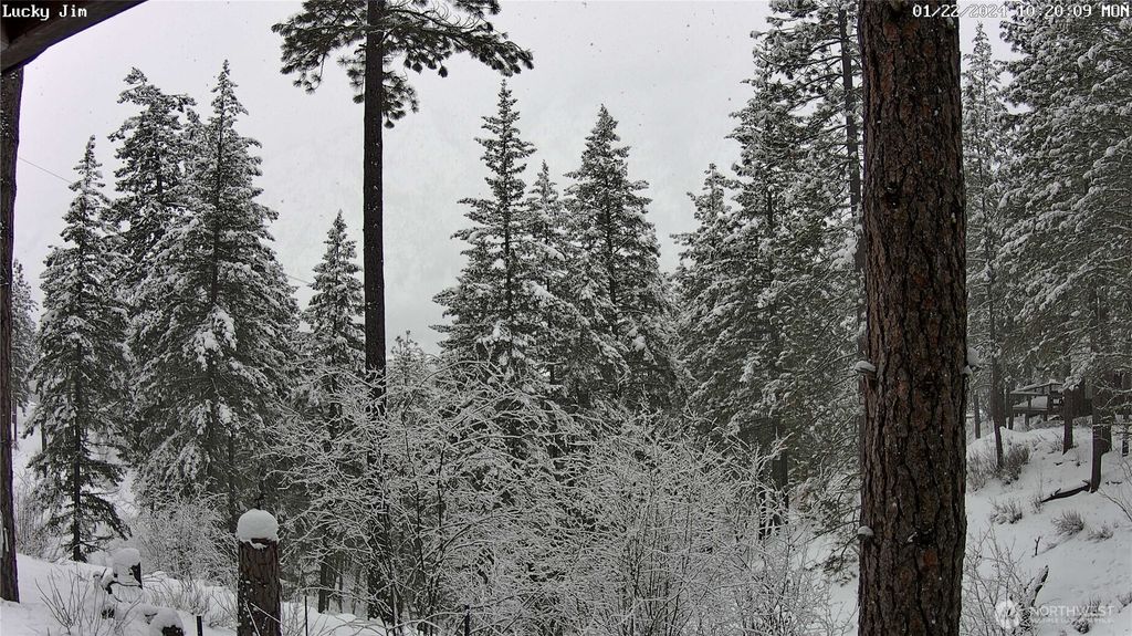 Photo of 80 Homestead Road, Winthrop, WA 98862 (MLS # 2461459)