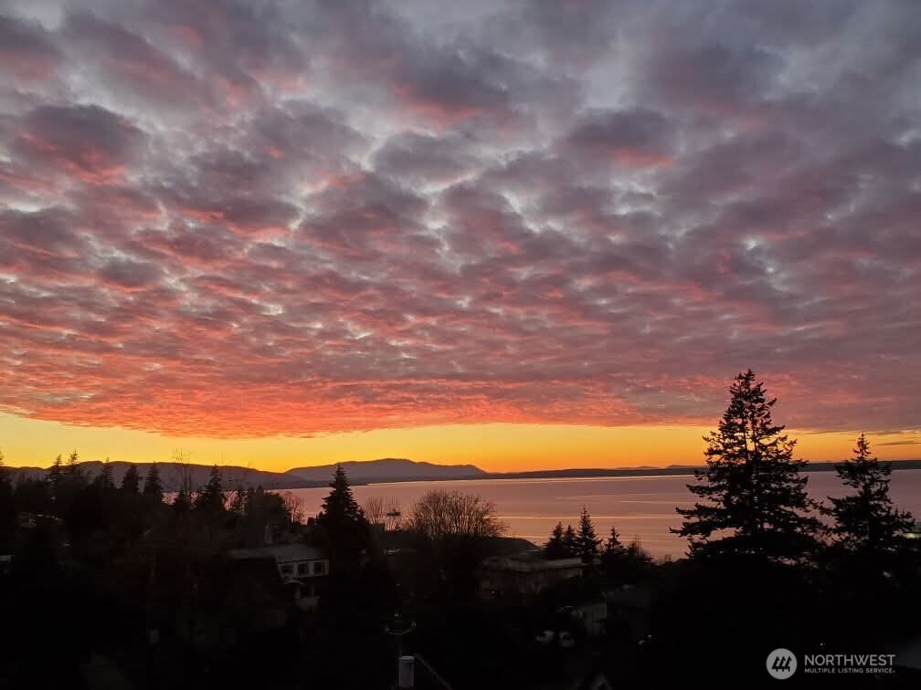 715 N Garden Street 502