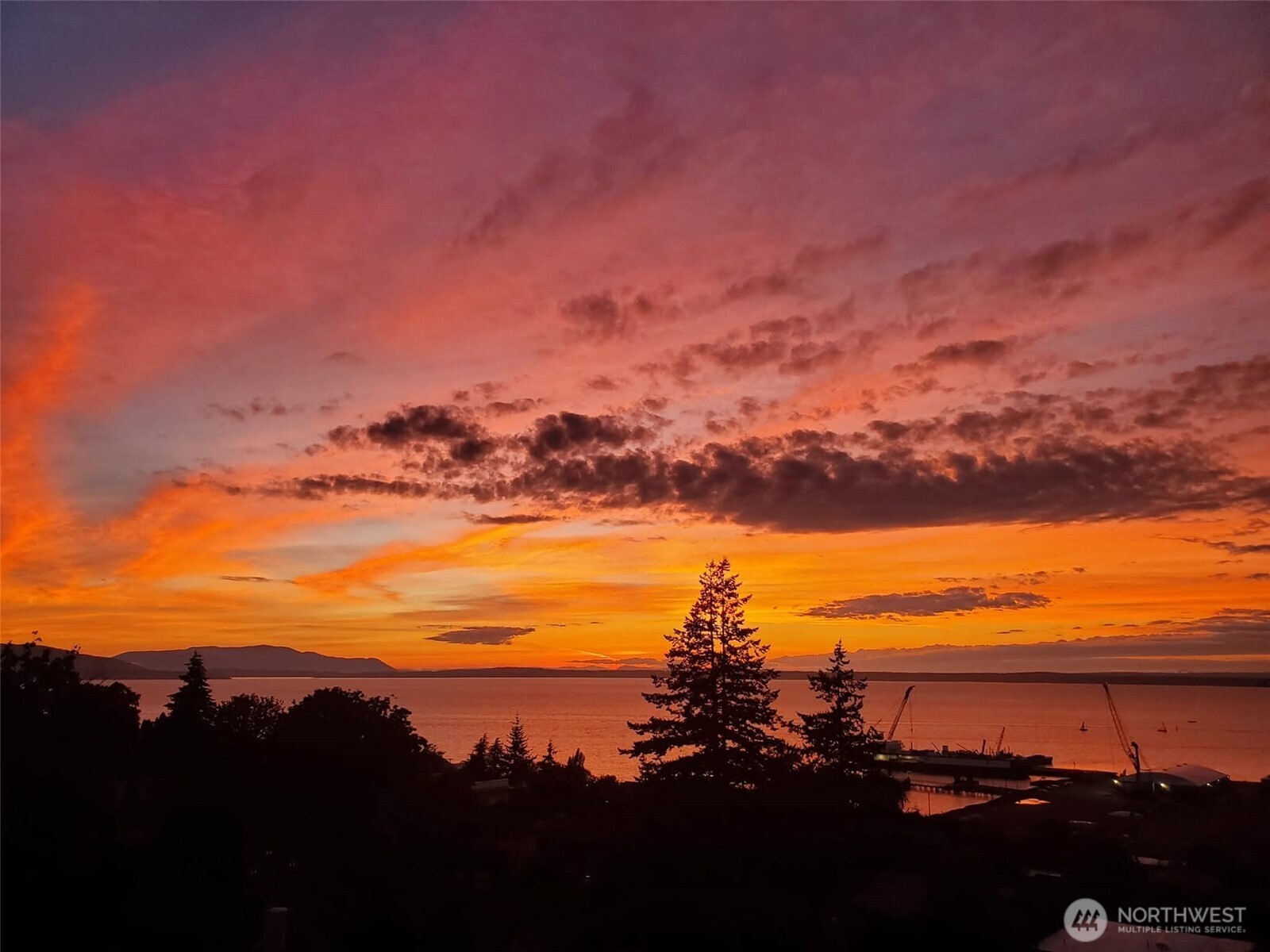 715 N Garden Street 502