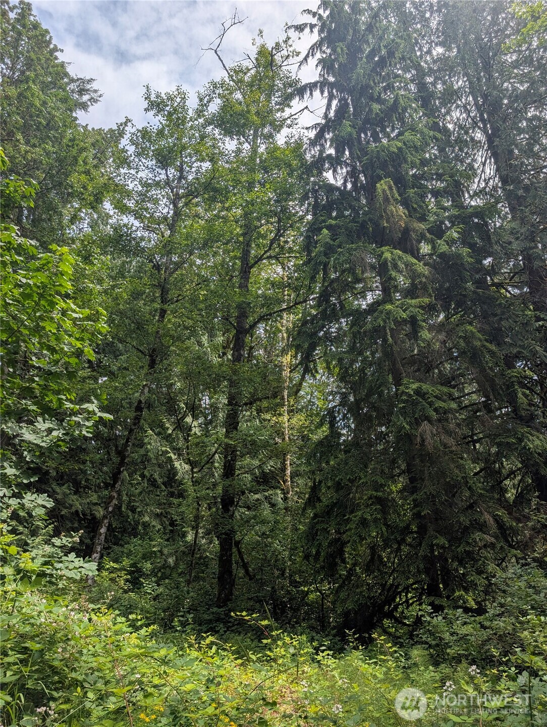 25314 Ebey Mountain Road