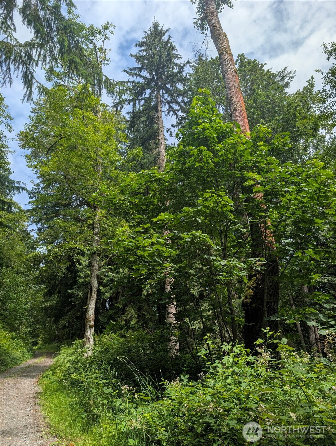 25314 Ebey Mountain Road