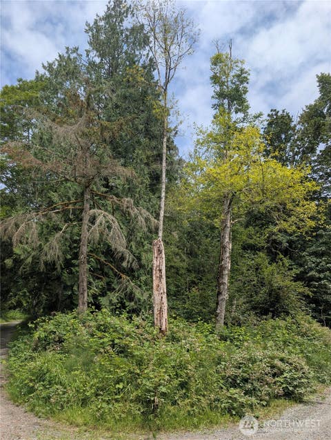Photo of 25314 Ebey Mountain Road, Arlington, WA 98223 (MLS # 2551399)