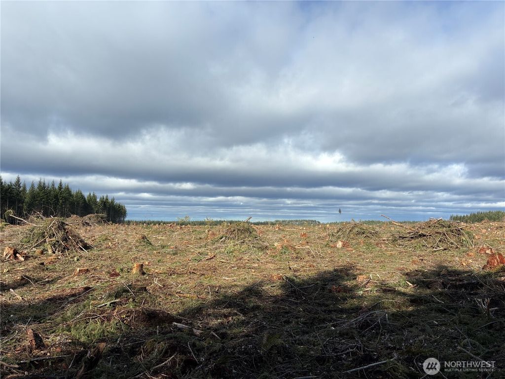 Photo of 28840 Free lane Road, Carbonado, WA 98323 (MLS # 2486280)