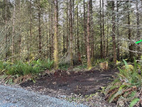 Photo of 28840 Freelane Road, Carbonado, WA 98323 (MLS # 2486280)