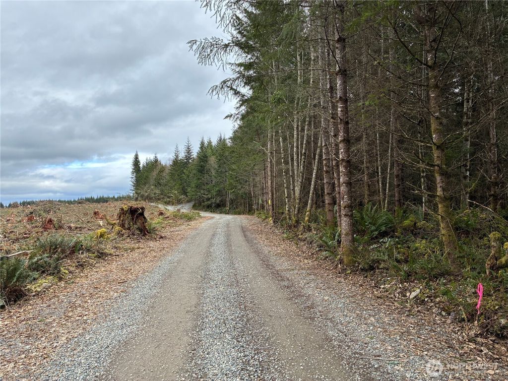 Photo of 28840 Free lane Road, Carbonado, WA 98323 (MLS # 2486280)