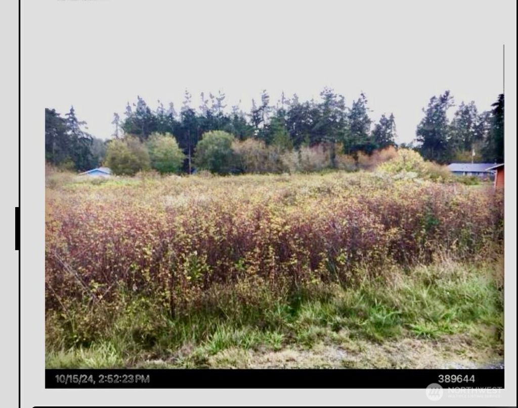 Photo of 2 San Juan Street, Coupeville, WA 98239 (MLS # 2458185)