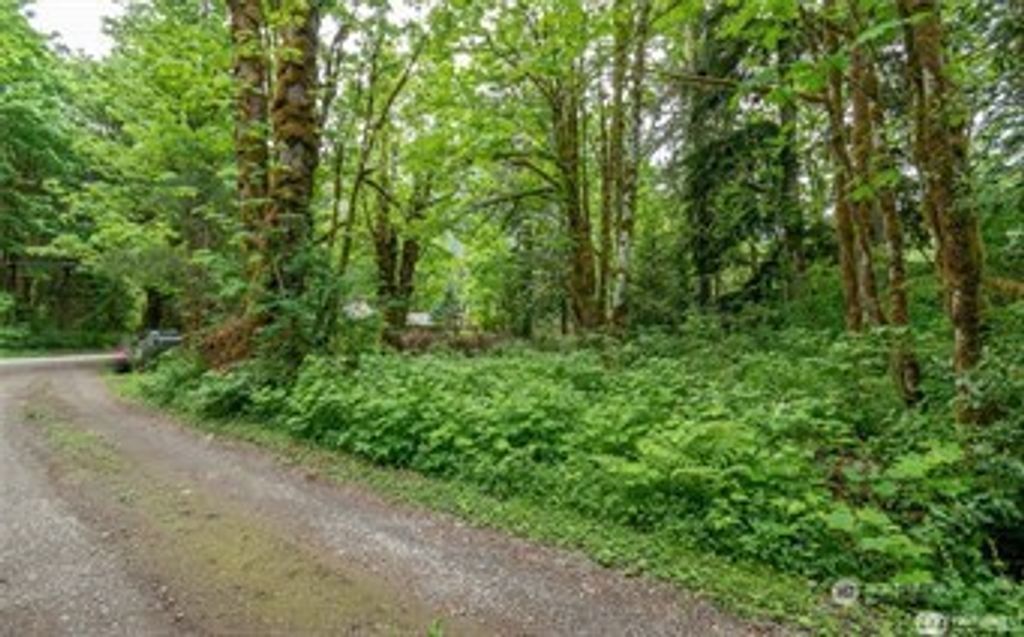 Photo of 0 XXXX 641st Avenue NE, Baring, WA 98224 (MLS # 2496231)