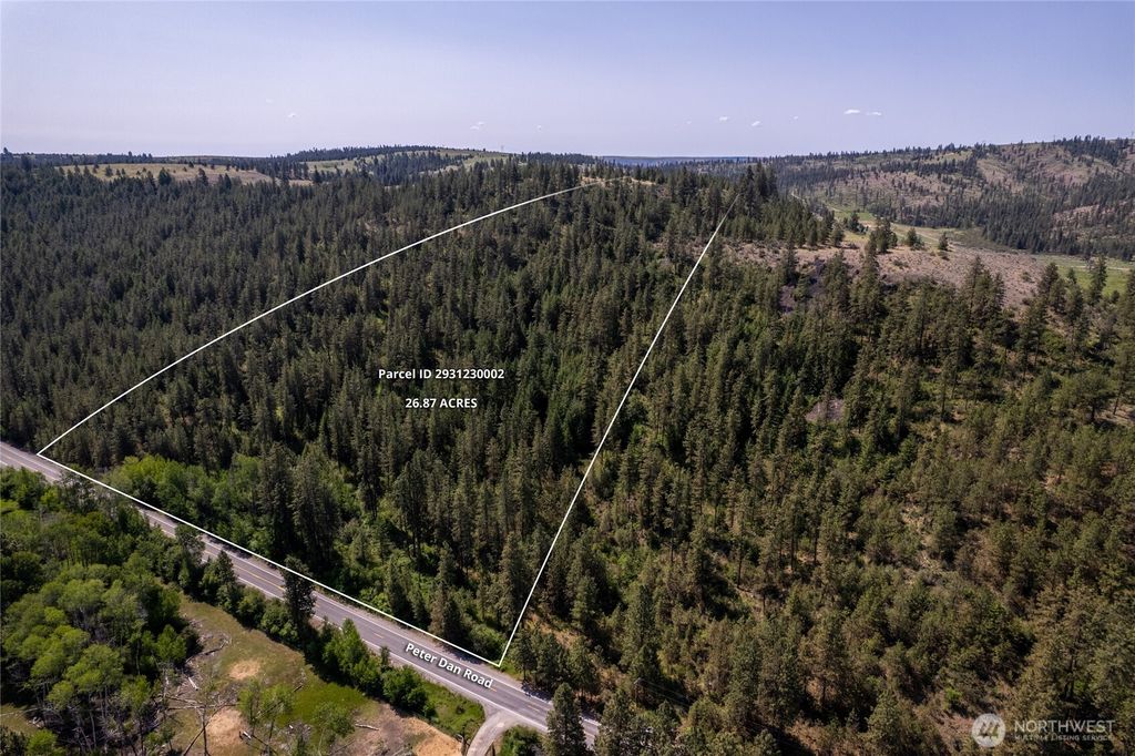 Photo of 0 Peter Dan Creek Rd, Coulee Dam, WA 99116 (MLS # 2516139)