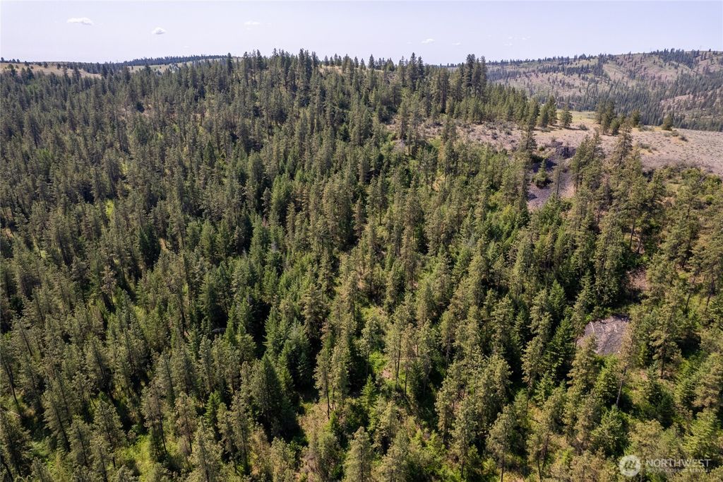 Photo of 0 Peter Dan Creek Rd, Coulee Dam, WA 99116 (MLS # 2516139)