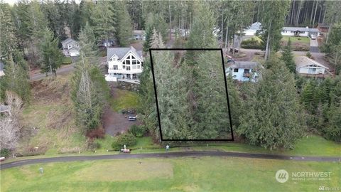 Photo of 281 E Road Of Tralee, Shelton, WA 98584 (MLS # 2274550)