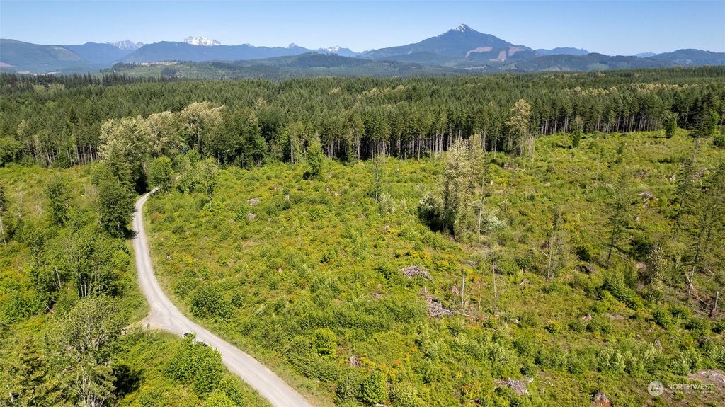 Photo of 0 174XX Pilchuck Tree Farm Road, Snohomish, WA 98290 (MLS # 2077714)