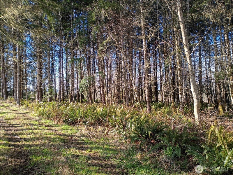 0 Salmon Creek Road 0