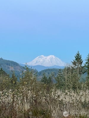 SALMON CREEK RD, MOSSYROCK, WA 98564 - Image 16d1feccdbfee61dbdace1c00d3e0a81/1444091826