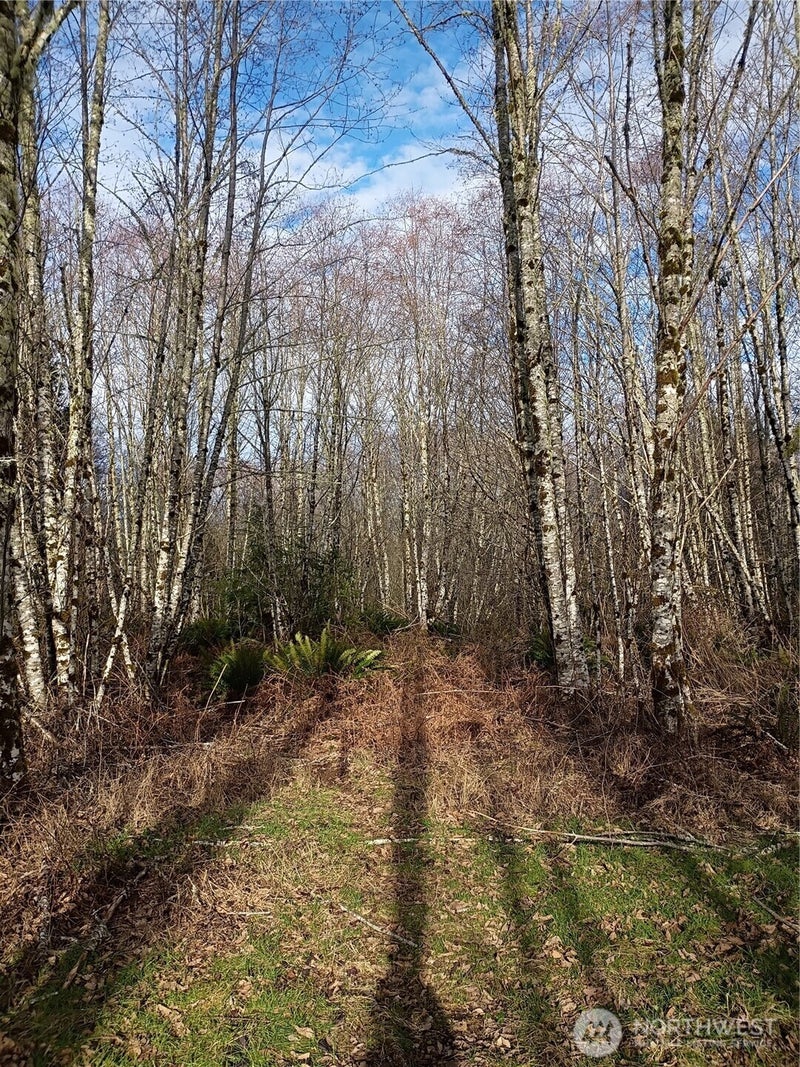 0 Salmon Creek Road 0