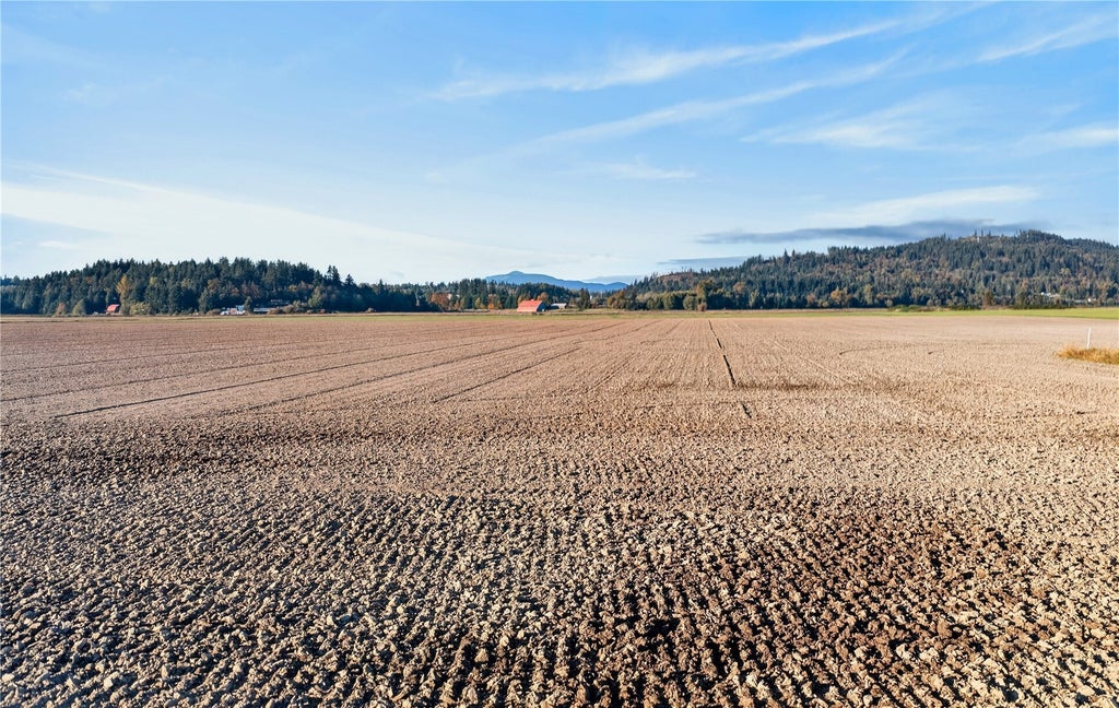 Photo of 0 Dahlsted Road, Burlington, WA 98233 (MLS # 2597885)