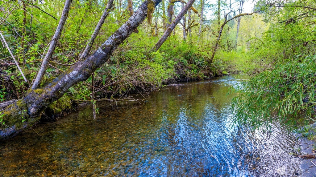 Photo of 138000 WA-530, Concrete, WA 98237 (MLS # 2569596)
