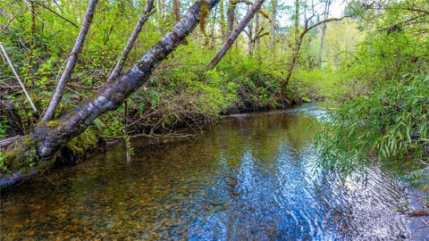 Photo of 138000 WA-530, Concrete, WA 98237 (MLS # 2569596)