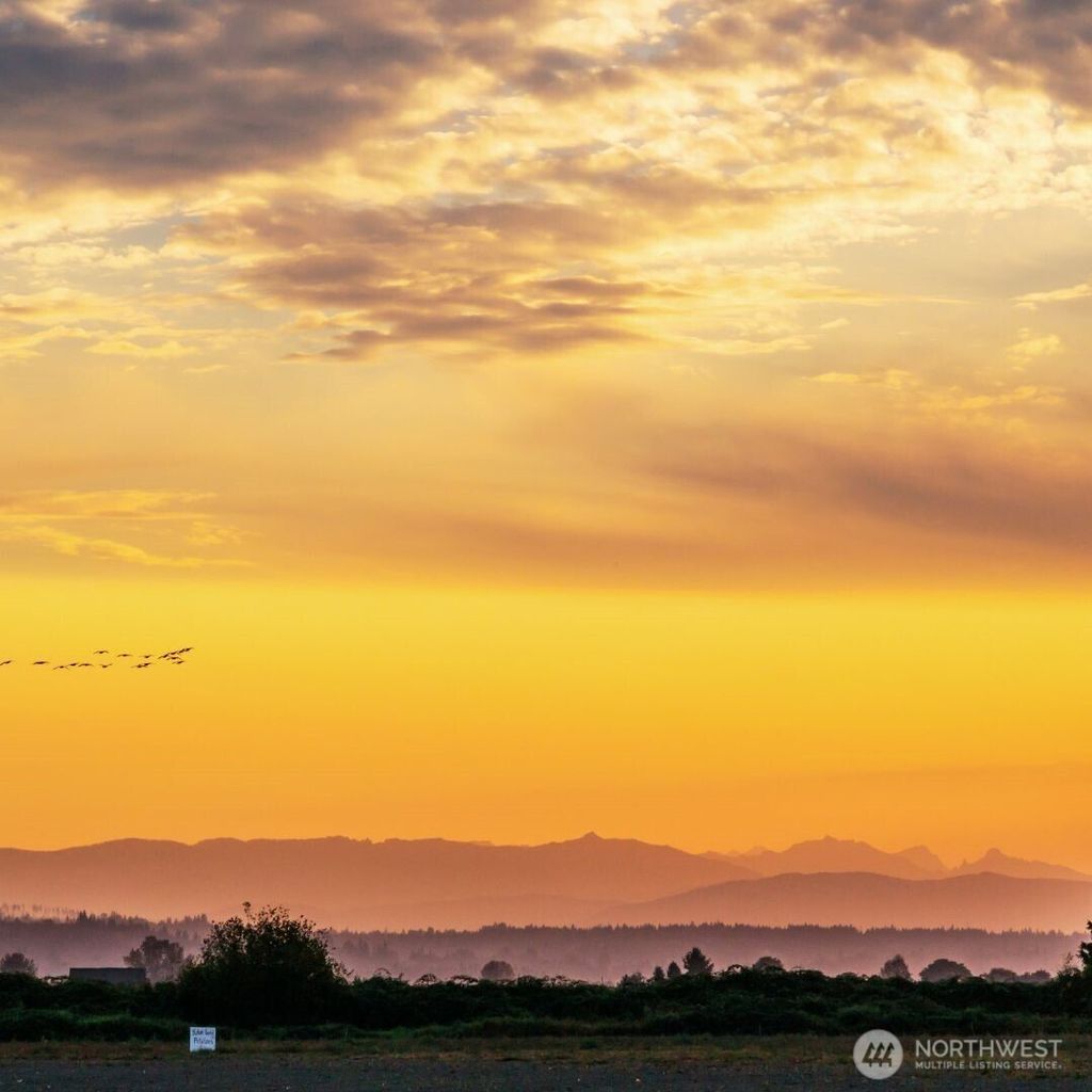 Photo of 5822 Lowell Larimer Road, Everett, WA 98208 (MLS # 2461567)