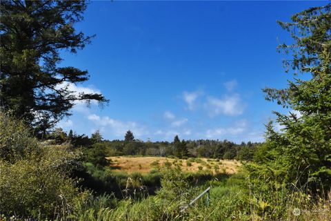 Photo of 2917 Oysterville Road, Ocean Park, WA 98640 (MLS # 2290311)