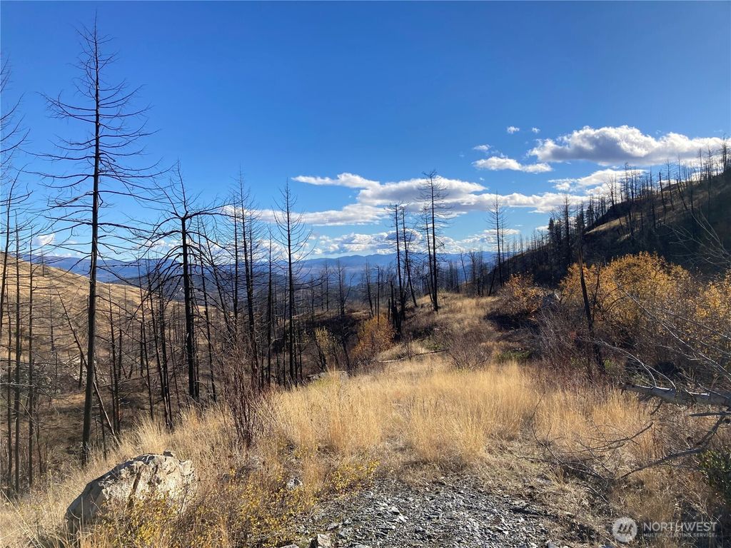 Photo of 1111 Bottom Road, Tonasket, WA 98855 (MLS # 2456185)